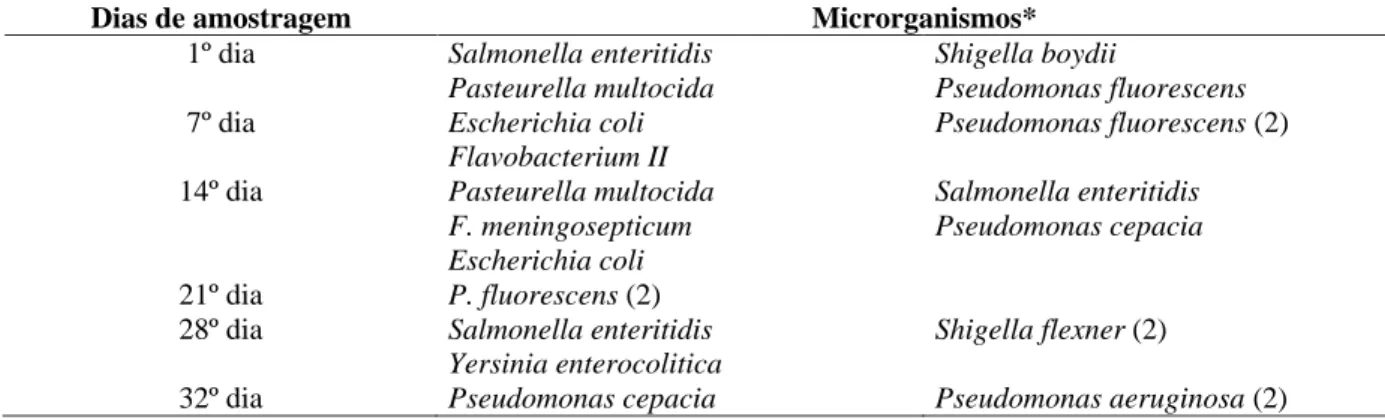 TABELA 5   Bactérias Gram-negativas isoladas do Latossolo Amarelo distrófico (LAdi) desinfestado com vapor d água, durante período de 32 dias após indução da frutifica.