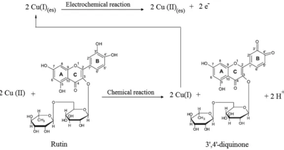 FIGURE 6  -  Proposed mechanism for the determination of rutin at MCCE-Cu 3 (PO 4 ) 2  electrode surface.
