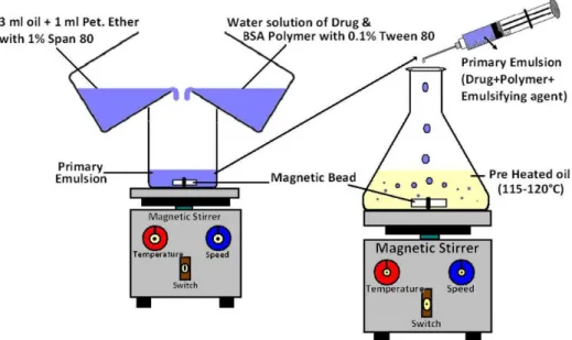 FIGURE 1  -  General diagram of Emulsiication-Heat Stabilization technique for Microparticles formulation.