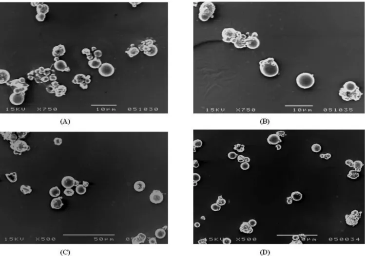 FIGURE 3  - Scanning Electron Microscopy (SEM) of diltiazem HCl microparticles, DTM-1 (A), DTM-2 (B), DTM -3 (C) and  DTM -4 (D).