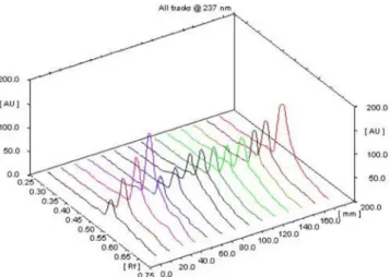 FIGURE 5  -  3D view of HPTLC of in vitro release proile of  DTM-1 formulation (First four tracks for standard calibration  peak, tracks 5-13 are drug release samples and last track for  maximum drug concentration in the formulation).