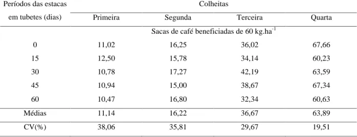 Tabela 1   Produção média das quatro primeiras colheitas de cafeeiros conilon, propagados por mudas formadas a partir de estacas, plantadas inicialmente em tubetes, transplantadas após os períodos de 0; 15; 30; 45 e 60 dias para sacolas de polietileno, UFE
