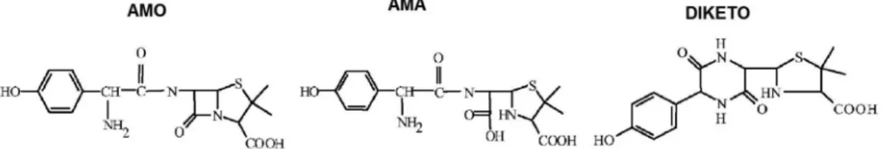 Figure 1 shows the main products obtained from the  acidic or basic hydrolysis of AMO