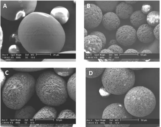 FIGURE 1  - Scanning electron micrographs of microspheres prepared without drug: (A) PLA; (B) PHBV; (C) PHBV/PLA 70/30; 