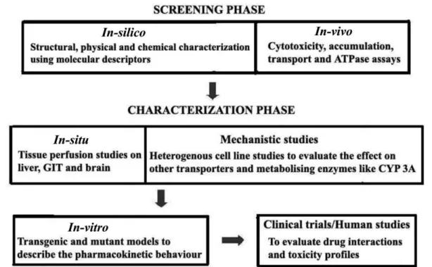 FIGURE 3  –  Schematic low chart for the evaluation of a compound’s interaction with P-gp and to distinguish it as an inhibitor/