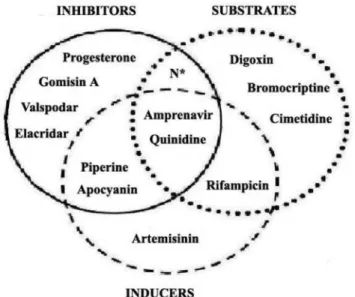 FIGURE 2  – Venn diagram distinguishing the interaction of  different compounds with P-gp