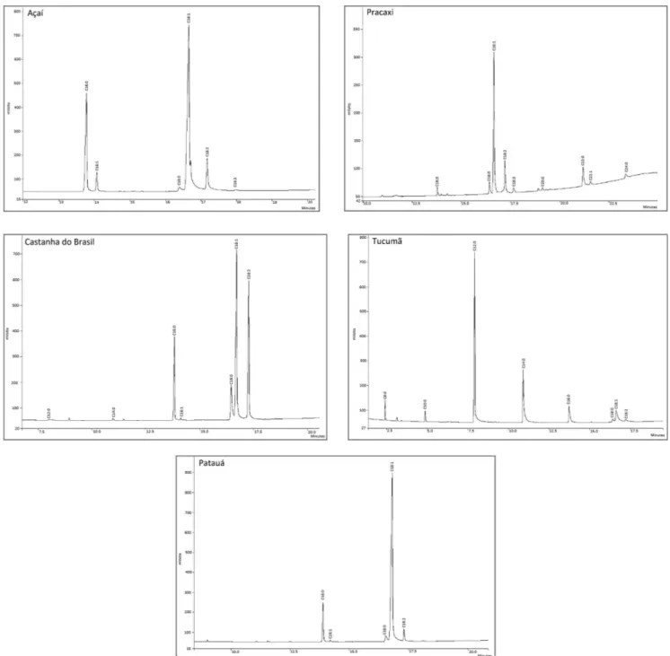 FIGURE 1  -  Gas chromatograms of the studied Amazonian oils. Acids: C12:0 – lauric; C14:0 – myristic; C16:0 – palmitic; C16:1 –  palmitoleic; C18:0 – stearic; C18:1 – oleic; C18:2 – linoleic; C18:3 – linolenic; C20:0 – arachidic; C22:1 – erucid; C24:0 – l