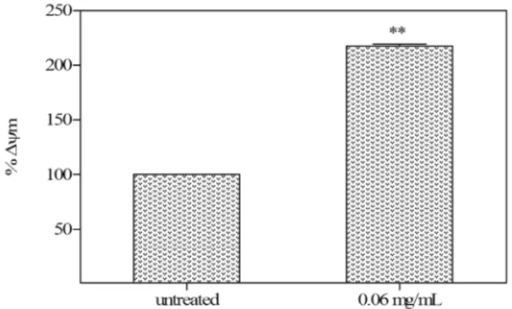 FIGURE 6  - Flow cytometry analysis of phosphatidylserine externalization in Synadenium umbellatum-treated K-562 cells