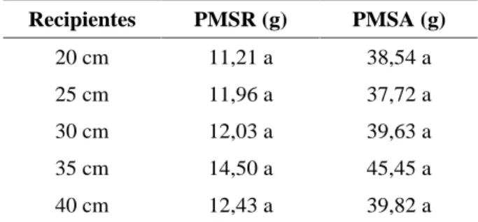 TABELA 3   Valores médios de altura e diâmetro de mudas de Rhapis excelsa aos 6  e 18 meses após a instalação do experimento.