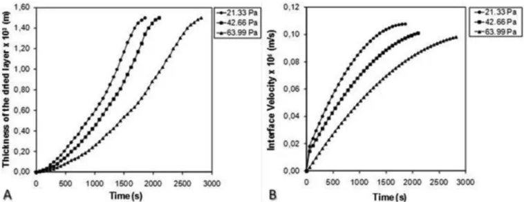 FIGURE 3  - (A) Thickness of the dried layer as a function of time during freeze-drying of bovine pericardium at different pressures