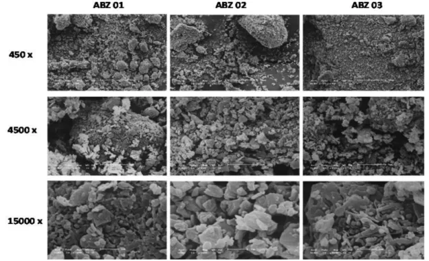 FIGURE 6  - Crystal morphologies of ABZ01, ABZ02, and ABZ03.