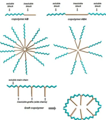 FIGURE 1  - Formation of polymeric micelles from different  types of amphiphilic block copolymers (Adapted from: 