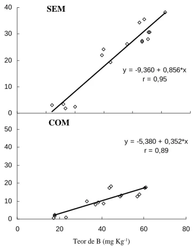 FIGURA 4 - Correlação  entre o teor de boro  na folha diagnóstico  de girassol e a  produção de aquênios nos tratamentos sem (SEM) e com estresse hídrico (COM)