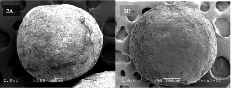 FIGURE 3  - A. Scanning electron micrographs of pellets prepared using sodium alginate as polymer