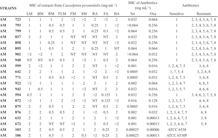 TABLE IV  - Minimum Inhibitory Concentration (MIC) of extracts from Caesalpinia pyramidalis against Staphylococcus aureus  strains