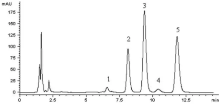 FIGURE 2C  - Representative chromatogram of plasma sample  after 5 min intravenous administration of POE.