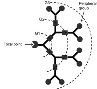 FIGURE 1  - Schematic representation of a dendron showing  the focal point, generations (G1, G2, and G3 represent the  irst, second and third generations respectively), and peripheral  groups.