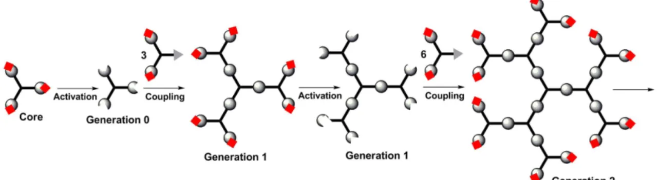 FIGURE 1  - The principle of the divergent synthesis of dendrimers.