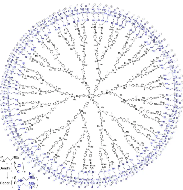 FIGURE 3  - Method of synthesis of dendrimers ended by ammonium groups, and full chemical structure of the corresponding  generation 4 (G 4 + ) phosphorus dendrimer.