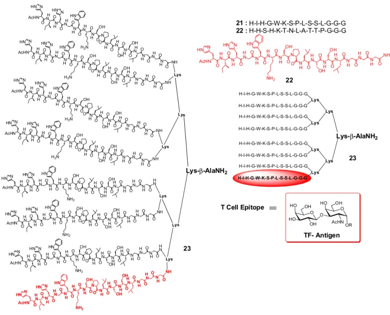 FIGURE 9  -  Antigenic carbohydrate epitopes can be functionally replaced by peptide sequences