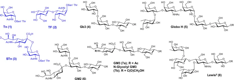 FIGURE 3  - Typical structures of representative TACAs from glycoproteins (blue) and glycolipids accumulated on cancer cells.
