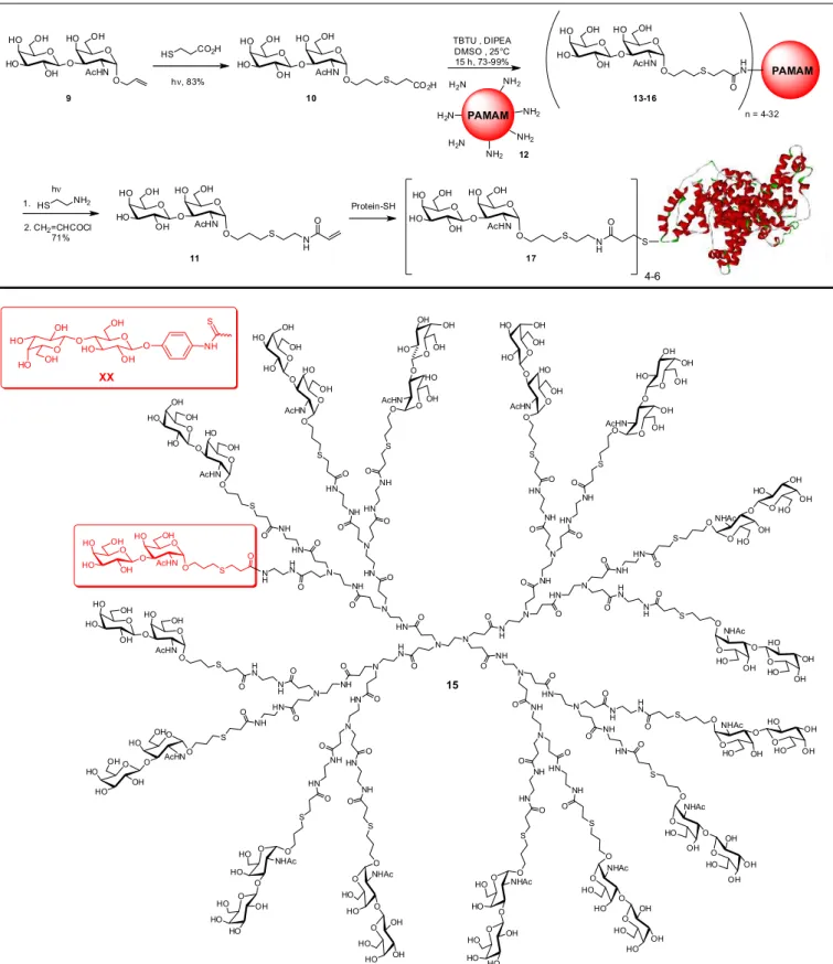 FIGURE 5  - Representative TF-vaccine and glycodendrimers built around PAMAM scaffolds (Baek, Roy, 2002a; Baek, Roy,  2002b)