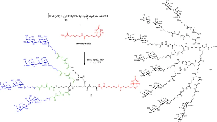 FIGURE 6  - Glycodendrimers built by solid-phase peptide synthesis using L-lysine as A 2 B monomer (both α- and ε-amino groups  are used simultaneously)