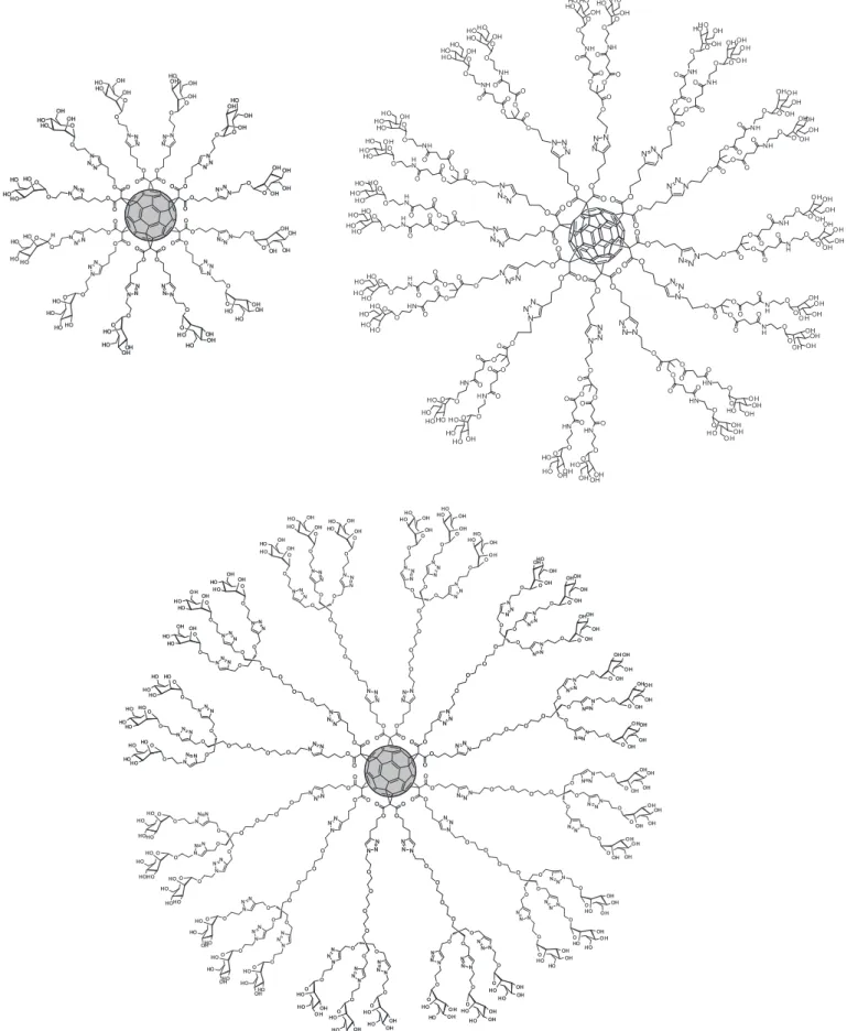 FIGURE 9  - Glycofullerenes with 12, 24 and 36 mannoses.