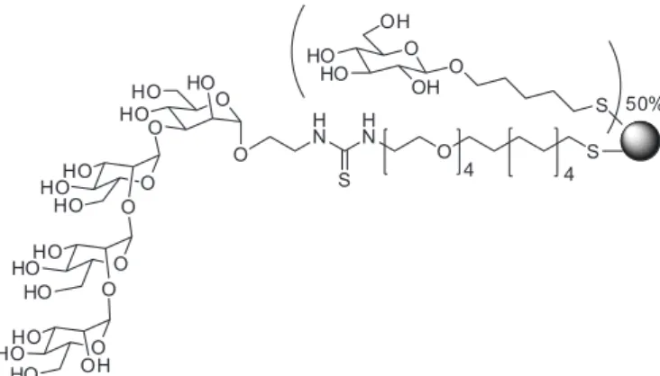 FIGURE 3  - Shikimic-based derivatives as ligands for DC-SIGN.