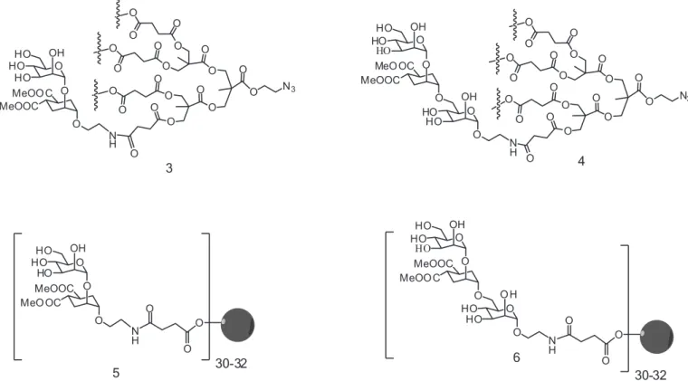 FIGURE 7  - Structure of tetravalent glycodendrons 3 and 4 and glycodendrimers 5 and 6.
