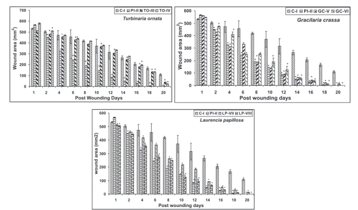 FIGURE 2  - Wound healing activity of seaweed Turbinaria ornata, Gracilaria crassa and Laurencia papillosa acetone extracts