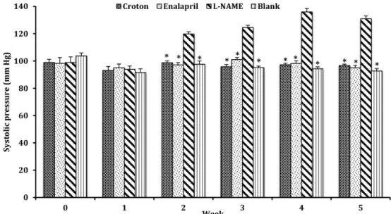 FIGURE 2  - Cumulative (10 -10 - 10 -4  M) Acetylcholine dose- dose-response curves in intact aorta rings prepared from Wistar rats  previously treated with: (1) ethanolic extract of Croton schiedeanus  Schltd (200 mg/kg/day, p.o.) plus L-NAME (10 mg/kg,  