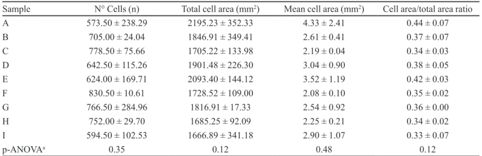 TABLE IV – Image analysis of crumb structure of panettone samples
