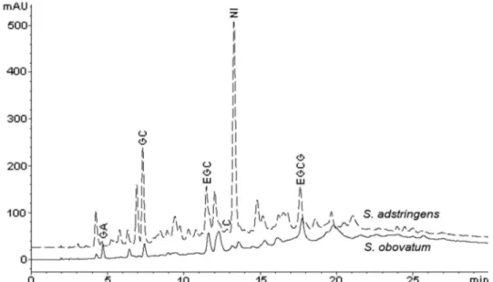 FIGURE 2  Overlaid chromatograms of organic fractions (OF) showing the presence of proanthocyanidins (GA, gallic acid; GC,  gallocatechin; EGC, epigallocatechin; C, catechin; EGCG, epigallocatechin gallate) and a non-identiied (NI) substance peak from  the