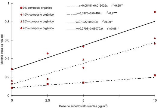 FIGURA 6   Matéria seca da raiz de mudas de mamoeiro  Formosa  como variável da aplicação de superfosfato simples