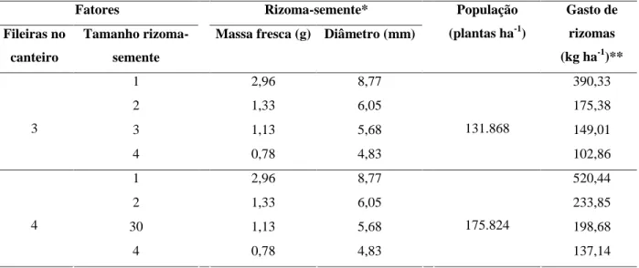 TABELA 1 – Médias de massa fresca e de diâmetro dos rizomas-semente, populações e gasto de rizomas do mangarito cv