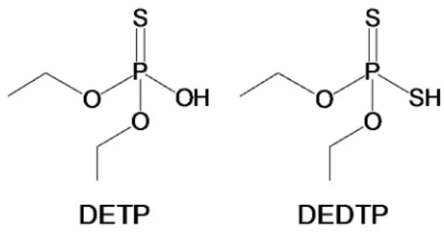 Figure 2 shows the structures of the two most commonly  measured disulfoton metabolites: diethyl thiophosphate  (DETP) and diethyl dithiophosphate (DEDTP) (Bravo et  al., 2002; De Alwis et al., 2009).