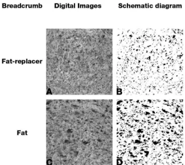 FIGURE 1  -  Breadcrumb image analysis (40 mm x 40 mm  crumb area).