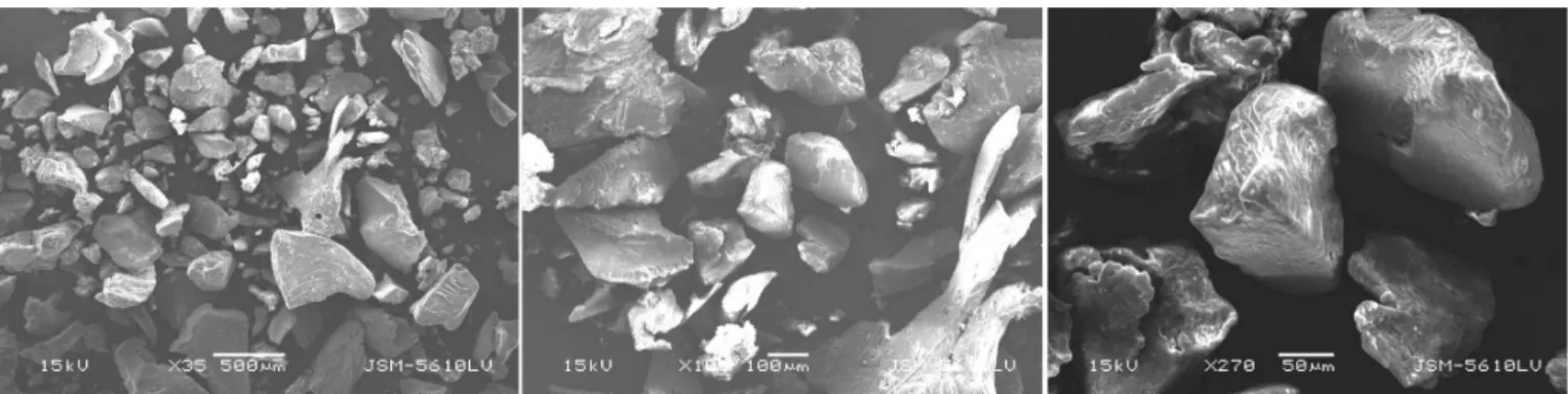 FIGURE 1  - Scanning electron microscopy of mucilage at different magniication using Philips, Lancashire, XL-30 SEM.