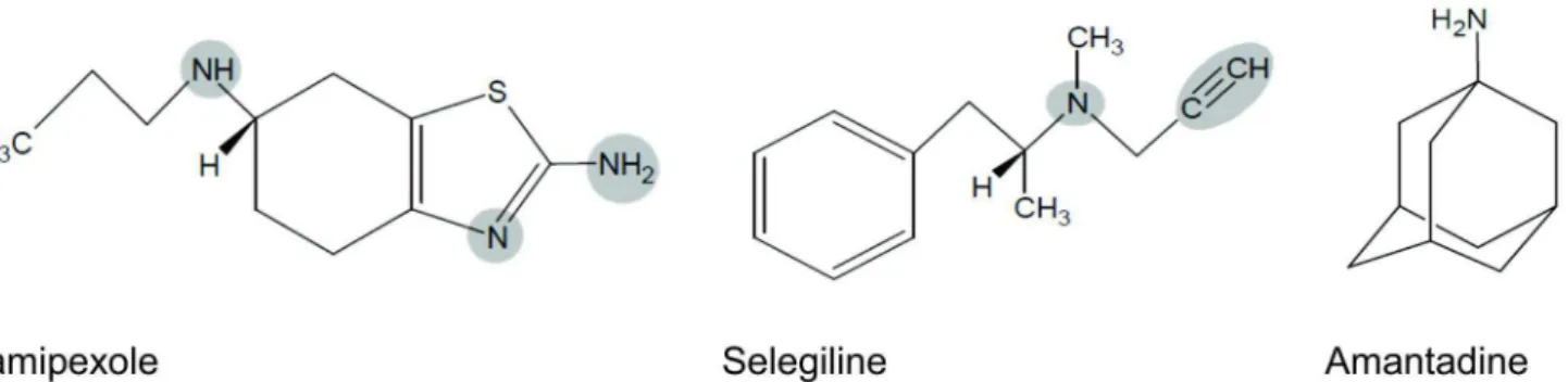FIGURE 3  -Chemical structure of antiparkinsonian drugs. The structural characteristics of pramipexole, selegiline, but not  amantadine, can deine antioxidant action of these drugs