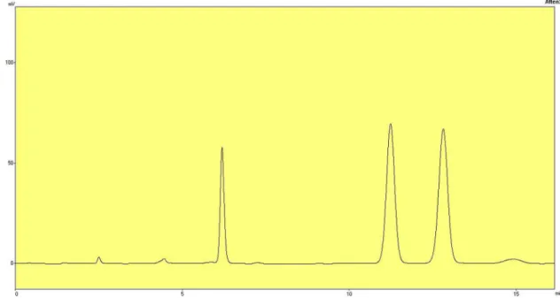 FIGURE 1  - HPLC Chromatogram of standard solution containing internal standard, acetanilide (6.18 min), cefuroxime axetil  diastereoisomer B (11.23 min) and cefuroxime axetil diastereoisomer A (12.83 min).