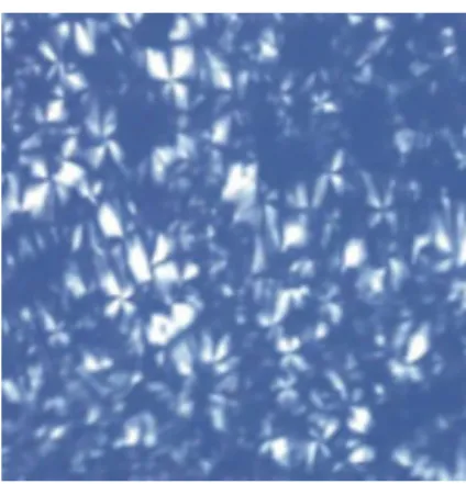 FIGURE 7  – Representative photomicrograph of the formulation  containing 60% surfactant, 30% water and 10% oil, present in  diagram (D2)