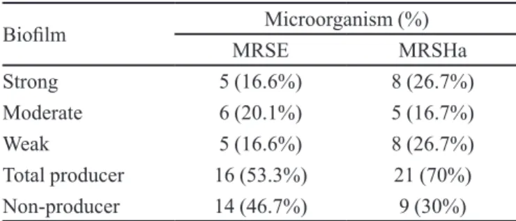 TABLE I-  Biofilm formation of methicillin-resistant  Staphylococcus epidermidis (MRSE) and methicillin-resistant  Staphylococcus haemolyticus (MRSHa)