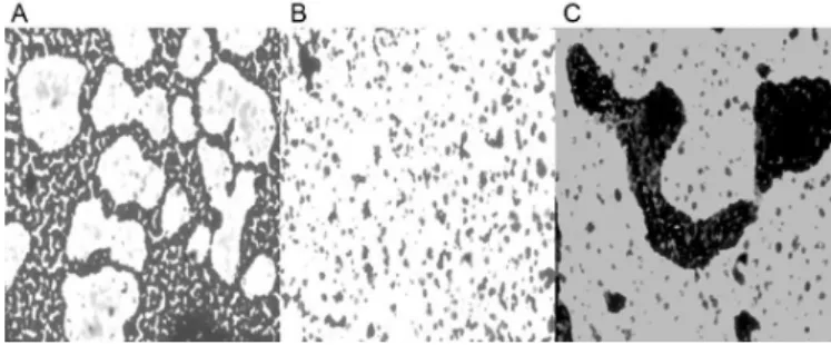 FIGURE 2  – Boxplot of optical densities of bioilms formed by staphylococcal isolates, both untreated and those treated with 2.5% 