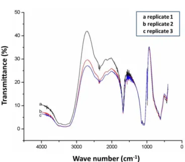 FIGURE 3  - Mesenteric vascular reactivity of EEAP. Panel A: concentration-effect curves of EEAP and EEAP + L-NAME