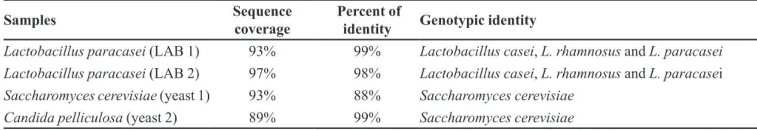 TABLE III  - Genotypic identiication of lactic acid bacteria and yeasts isolated from Brazilian grape sourdough