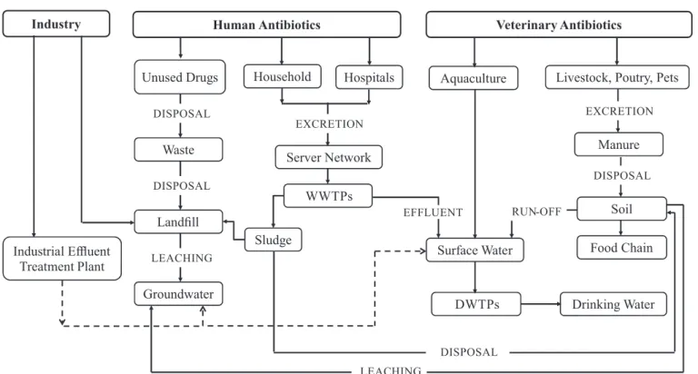 Figure 1 shows possible pathways for antibiotics,  after being discarded into the environment (Bila, Dezotti,  2003):