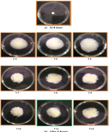 TABLE VI  - Weight variation, hardness, friability and drug content formulation F-1 to F-12 
