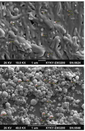 FIGURE 2  - Scanning electron microscopy pictures of ampicillin  solid lipid nanoparticles after drying (a), before  freeze-drying in primary preparation (b).