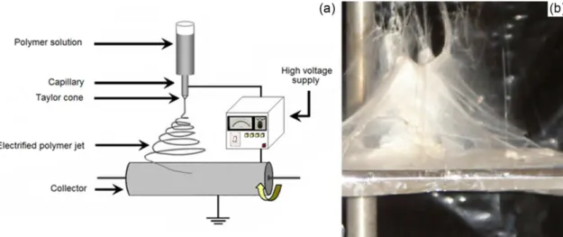 Figure 2a shows the UV-Vis spectrum of AgNPs  synthesized in aqueous medium, and Figure 2b shows the  AgNPs incorporated in CA polymer solution